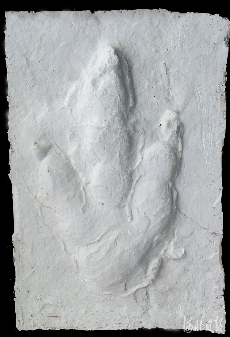 追寻燕赵大地上的“龙迹” 张家口宣化发现国内单点面积最大数量最多的恐龙足迹化石