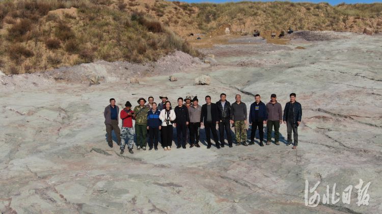追寻燕赵大地上的“龙迹” 张家口宣化发现国内单点面积最大数量最多的恐龙足迹化石