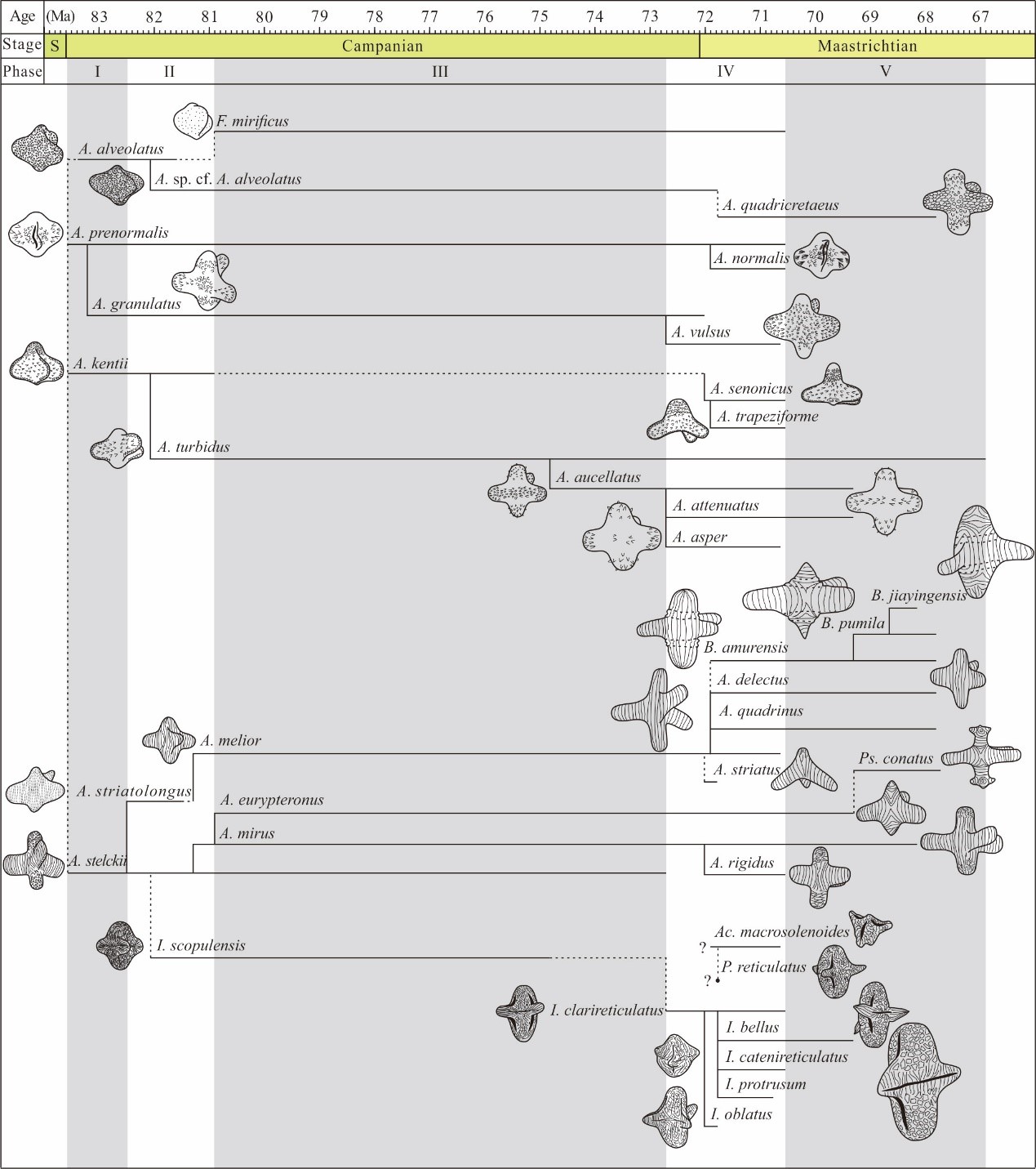 �����Ѽ��о���������������ͻ���໨���о�ȡ��ϵͳ�Խ�չ