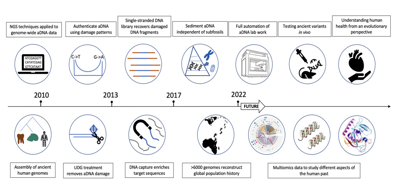 古DNA技术如何“浪里淘金”