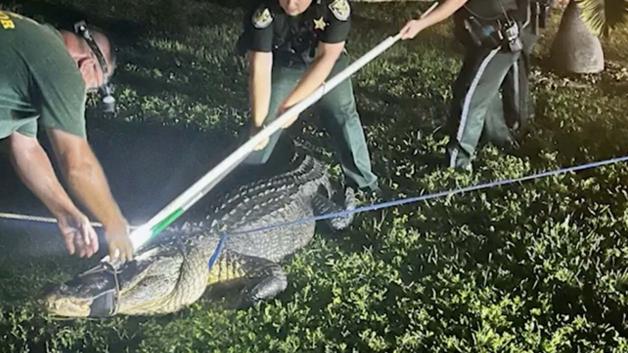 ����������������3.4�������㴳��լ ��ץ��ʱ��񷭹��������˵ľ޴�˻��