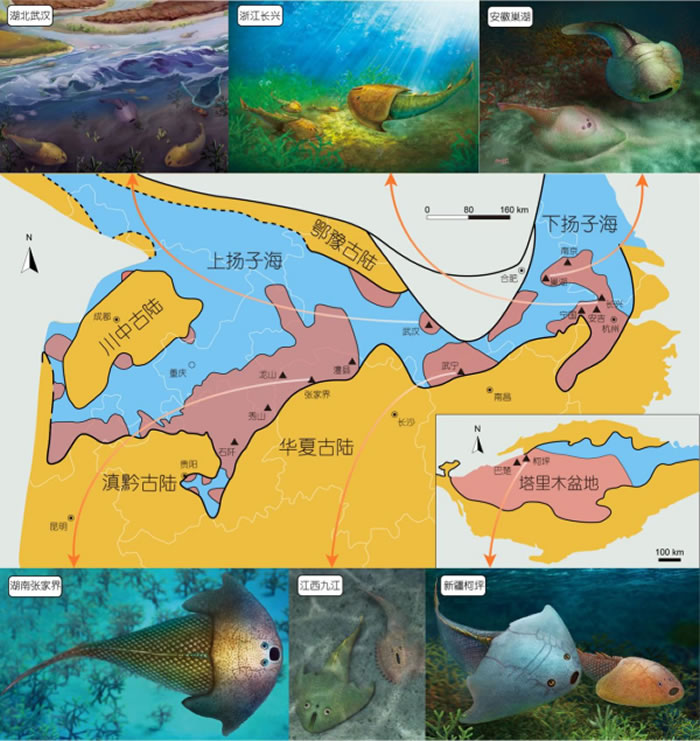 古鱼类化石证据印证4.38亿年前我国长江流域曾存在古海洋——扬子海