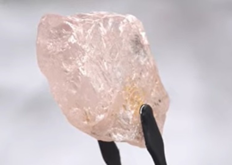 ���ް��������ɵ�300��������ش�170���ķۺ���ꡰ¶��õ�塱