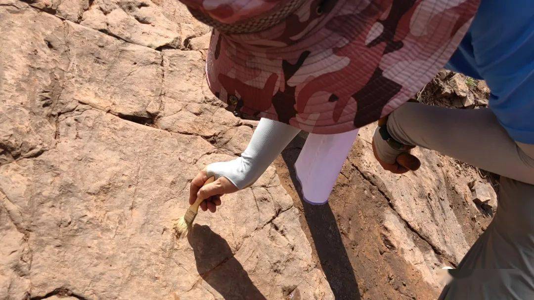 云南省玉溪市易门县境内发现恐龙足迹化石