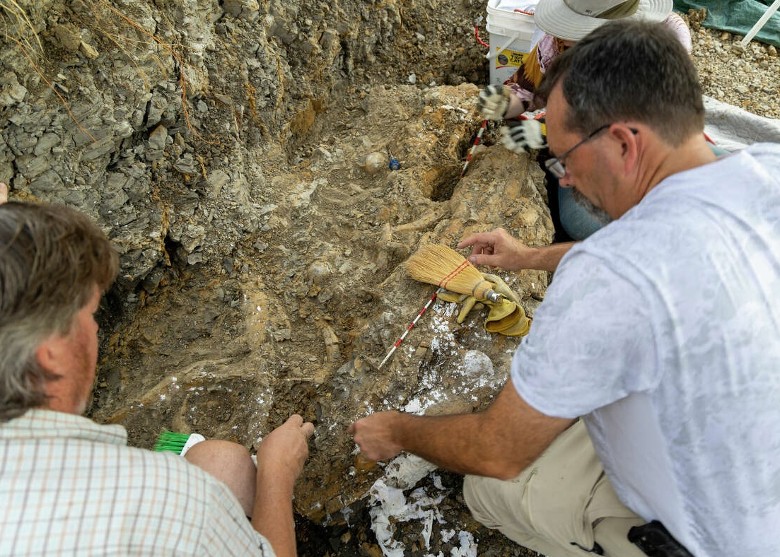 美国古生物学爱好者在德州发现9米长沧龙化石