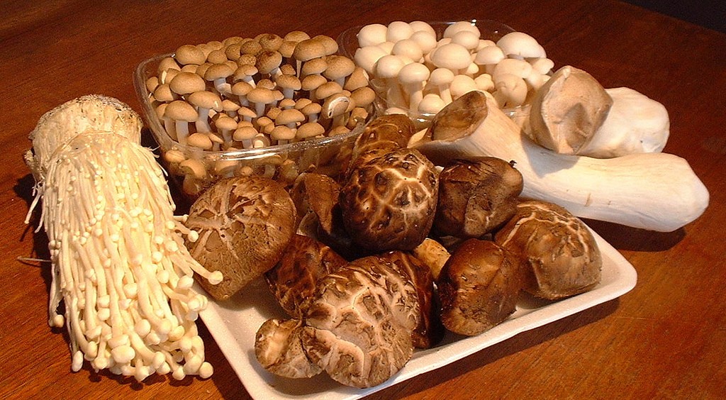 “终极超级食物”蘑菇的十大健康益处：维生素和矿物质的极佳来源