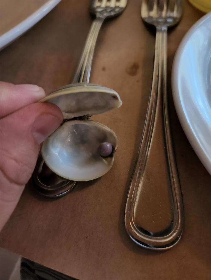 美国德拉瓦州男子吃饭点了一盘14美元开胃菜 吃到紫色珍珠