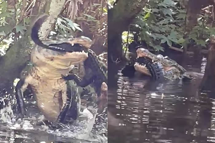 ŮӵȪ԰SUPʽ Ŀ3׳˺ҧһֻС