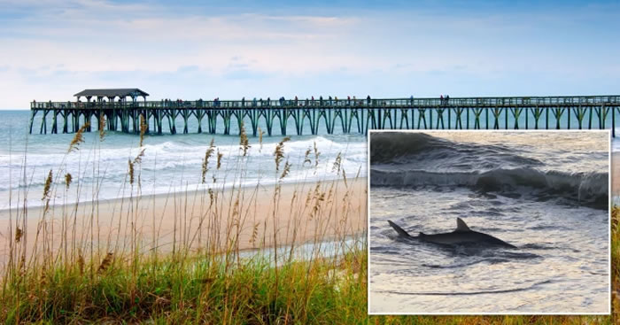 ϿĬض溣̲һ촫2㹥