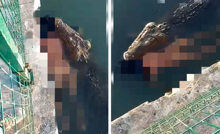 īë˹̹Ƥһ԰ϸʬι