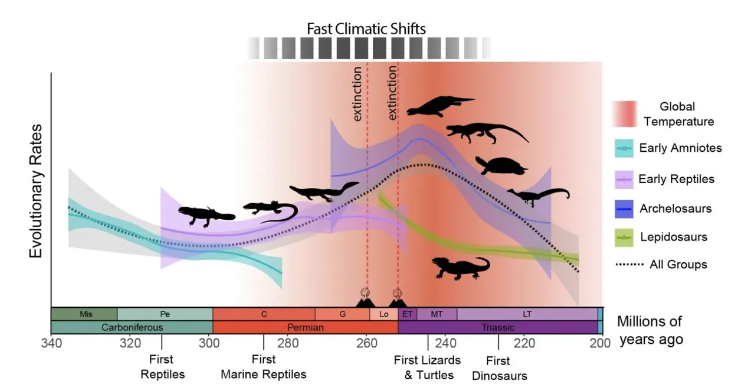 研究揭示爬行动物时代的开始与二叠纪和三叠纪之间的气候变化有关