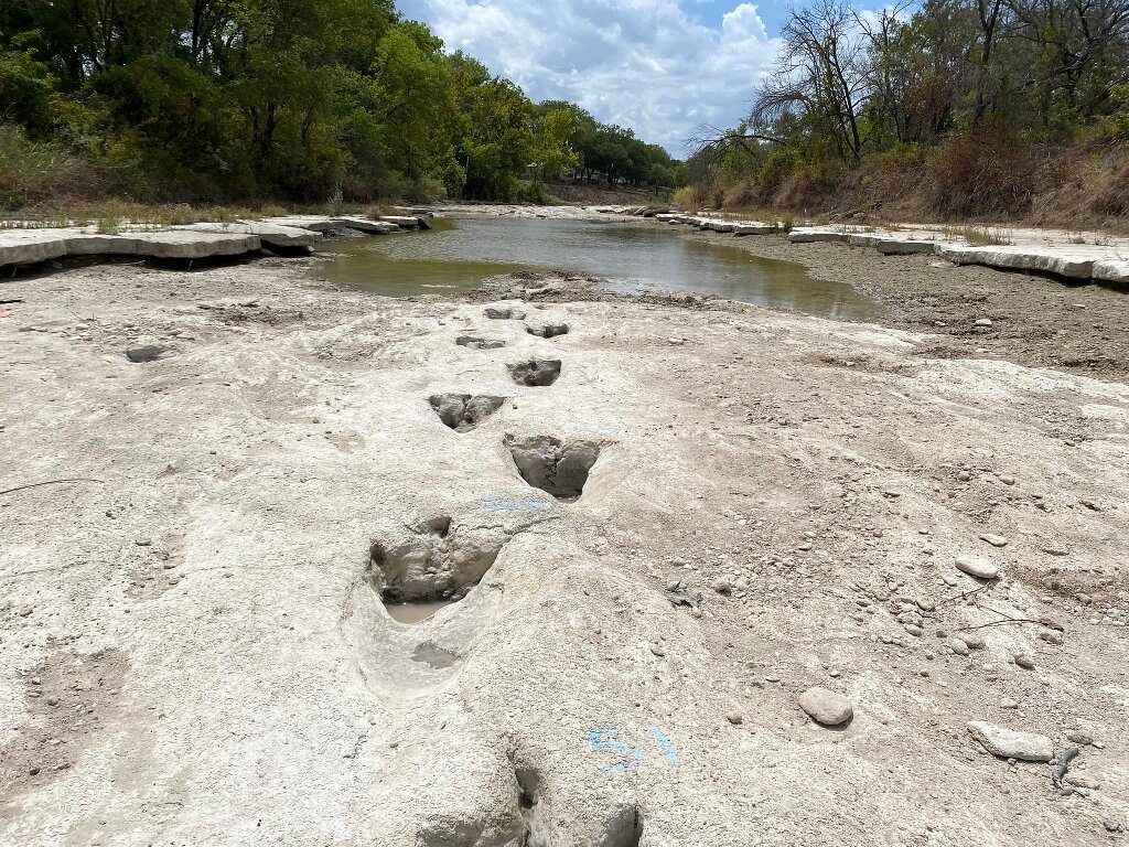 美国德州恐龙谷州立公园河道干涸让1.13亿年历史恐龙足迹化石重现 多为高棘龙留下