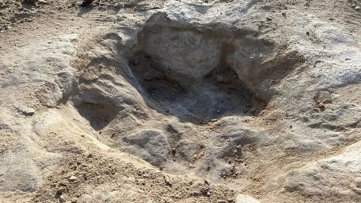 美国德州恐龙谷州立公园河道干涸让1.13亿年历史恐龙足迹化石重现 多为高棘龙留下