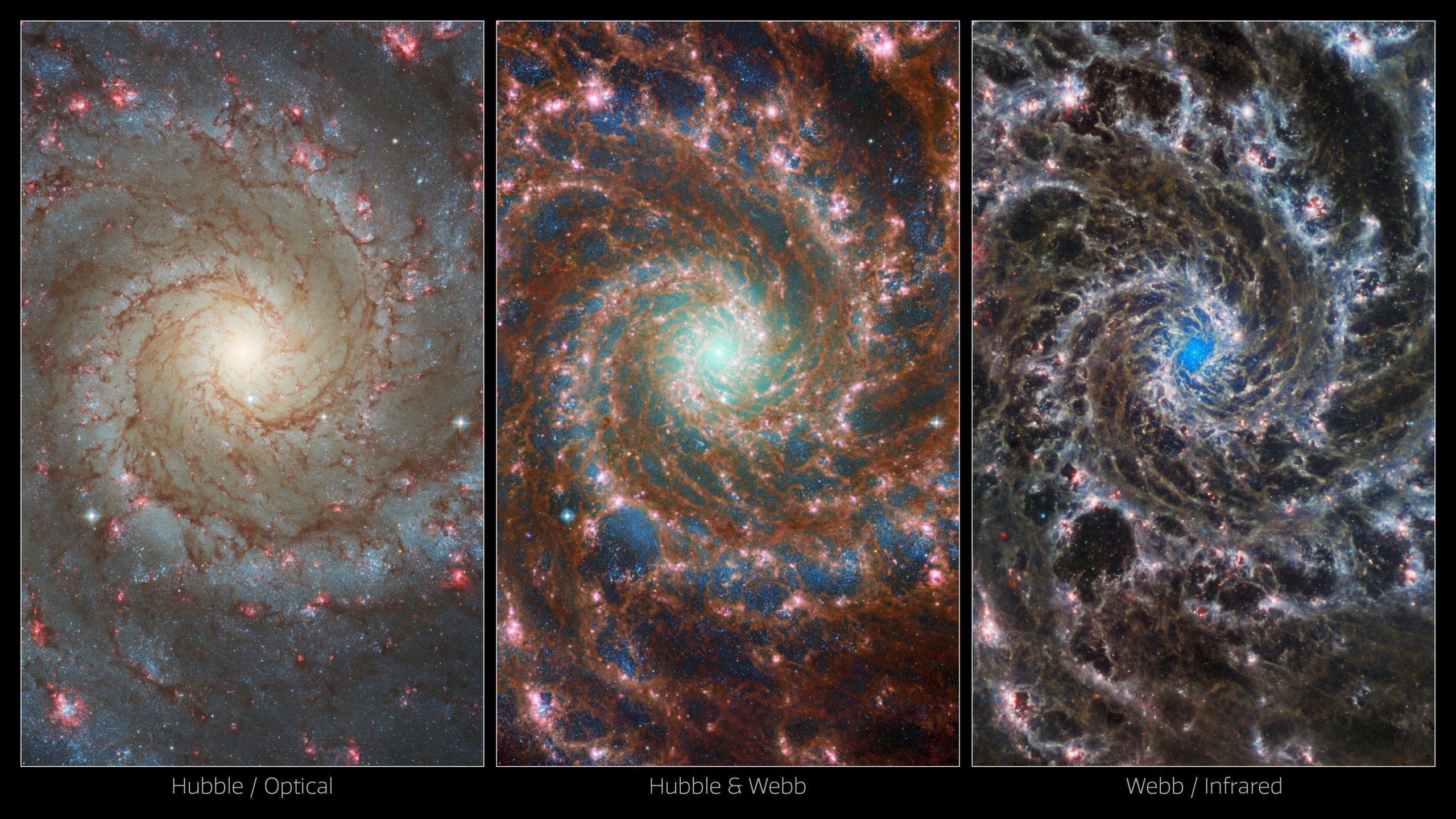 詹姆斯-韦伯太空望远镜拍摄壮观的幽灵螺旋星系M74
