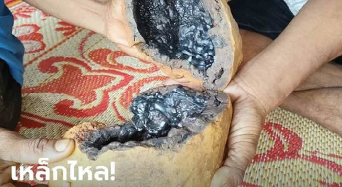 ̩żŮ ʥطִ˵кҺ̬