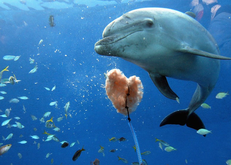 ��������������˺ӷ��ֵĿ��Ǻ���ʬ��������²���H5N1������