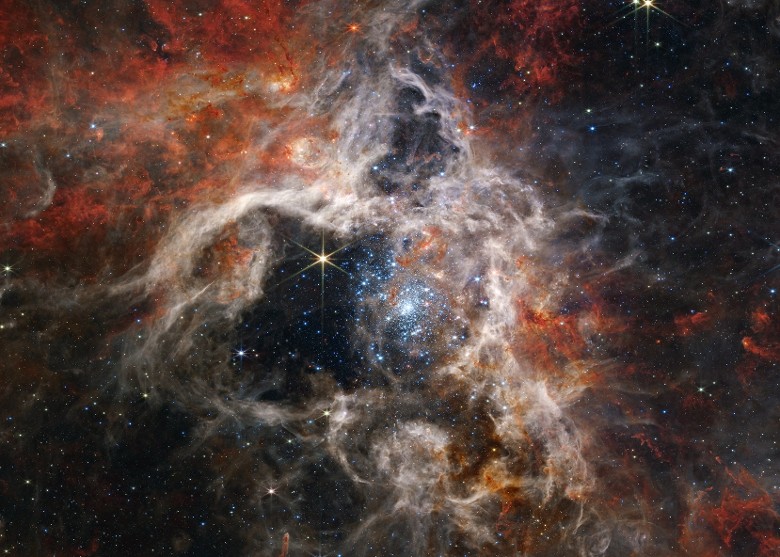 詹姆斯.韦布太空望远镜拍下大麦哲伦星云中的狼蛛星云内大量原恒星的照片