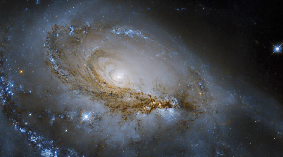 哈勃太空望远镜拍摄鹿豹座螺旋星系NGC 1961的新图像