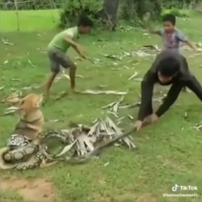 ӡ�ȣ���Ȯ�����������ɥ�� 3λС�����ó����߷����ɹ�����