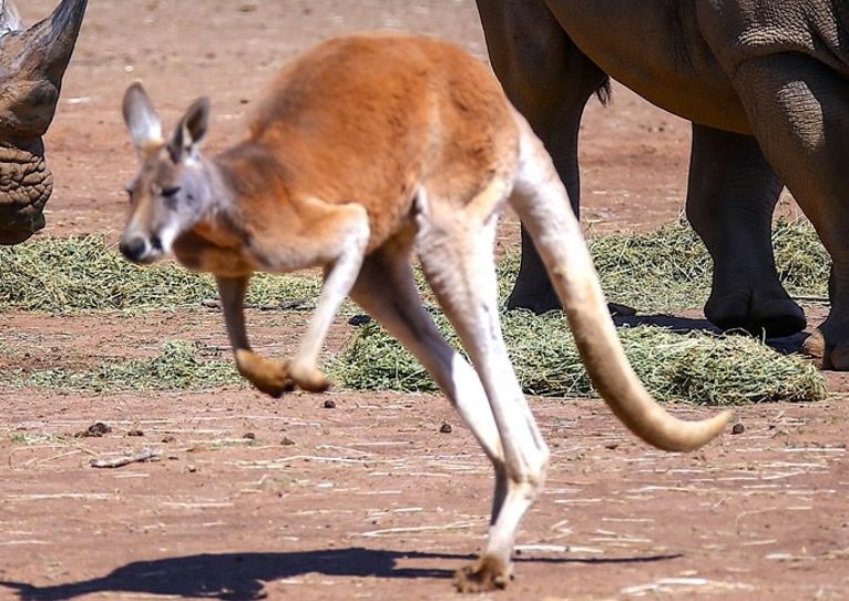 ��������ʡ�׵��ɵ�һ�����ӱ��������ɱ�� ��86��������