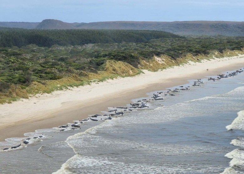 230���캽����ǳ������˹������