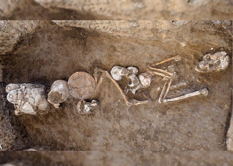 以色列3500年历史陶器碎片中发现鸦片残留物