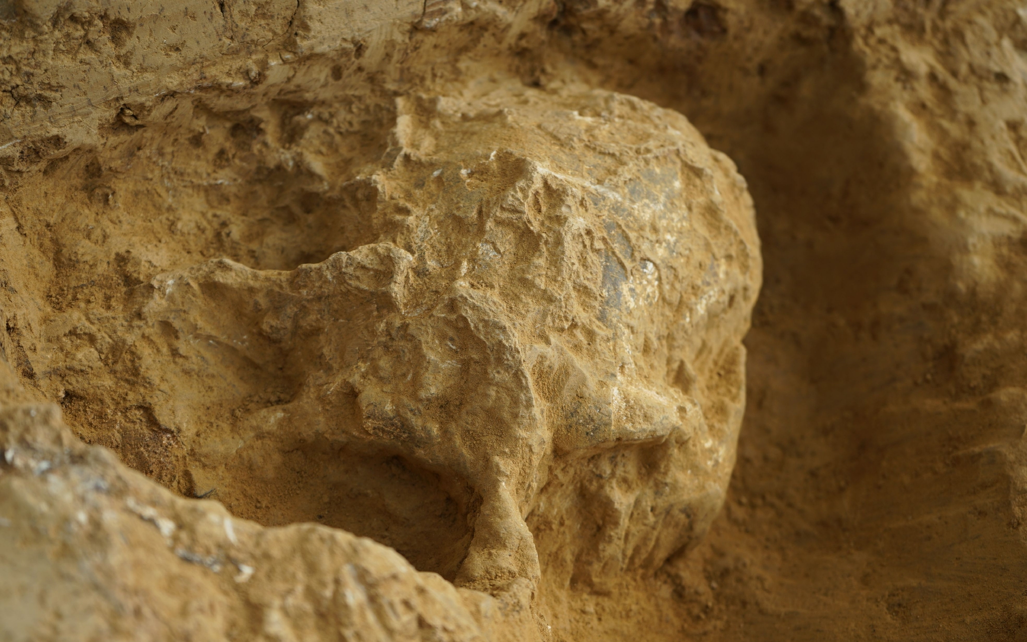 ѧַ·֣Լ100ġˡ3ͷǻʯ