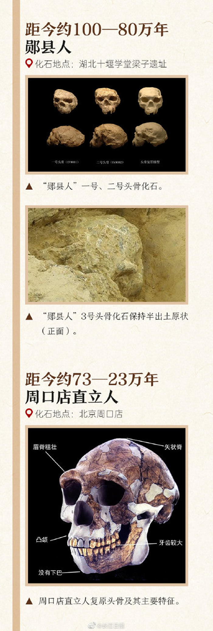 一图认识中国的各种古人类化石