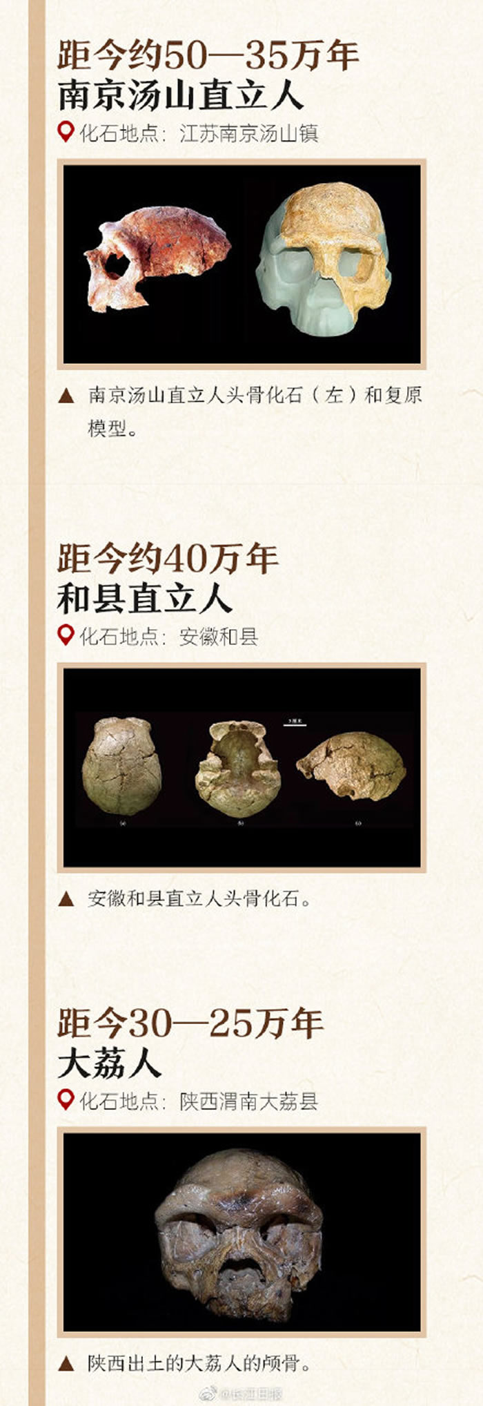 一图认识中国的各种古人类化石