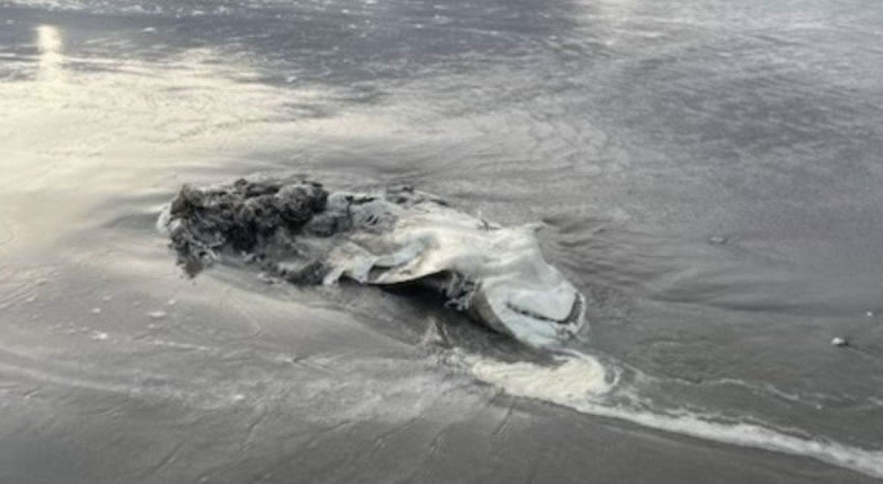 ���������ʼӺ�̲�����ʬ�����౻�Ϳ� ������̬ѧ�ң������⵽��������