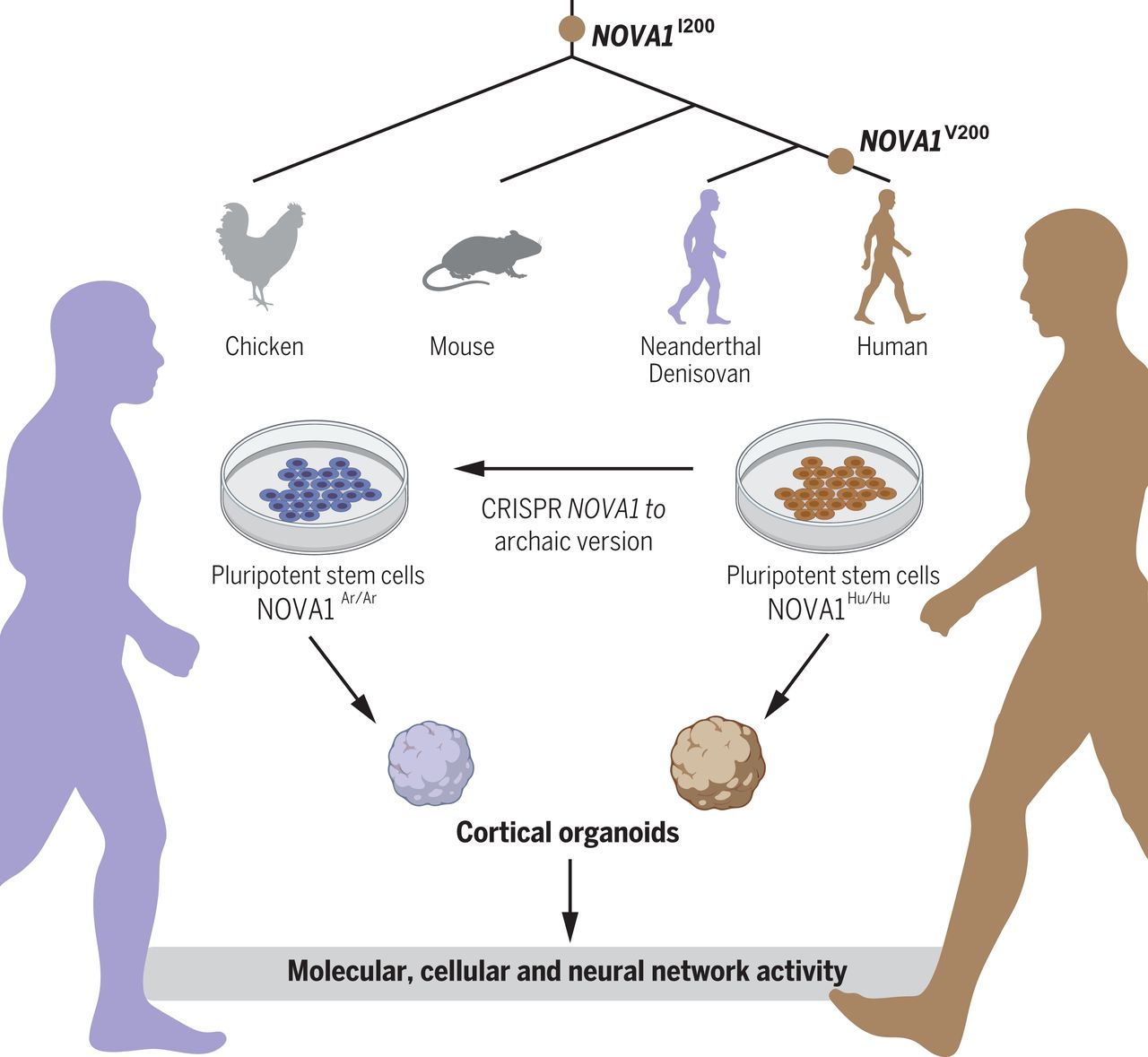 ִкβ졪2022ŵѧҽѧ