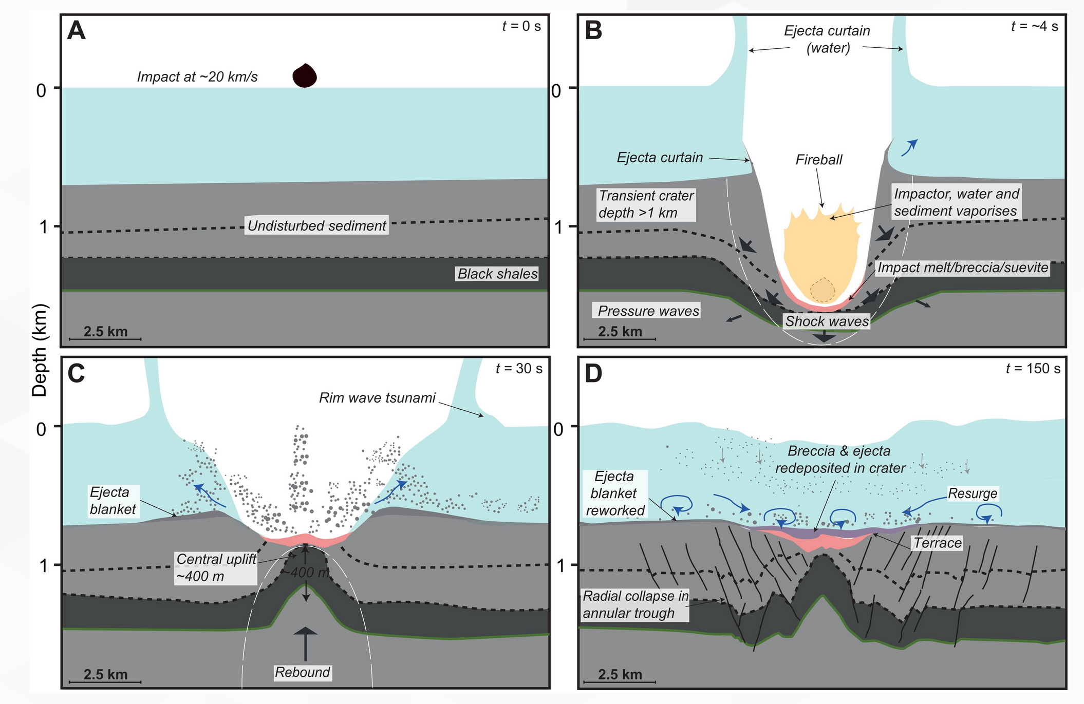 《数码宝贝：新次序》最新截图 水神兽表态
