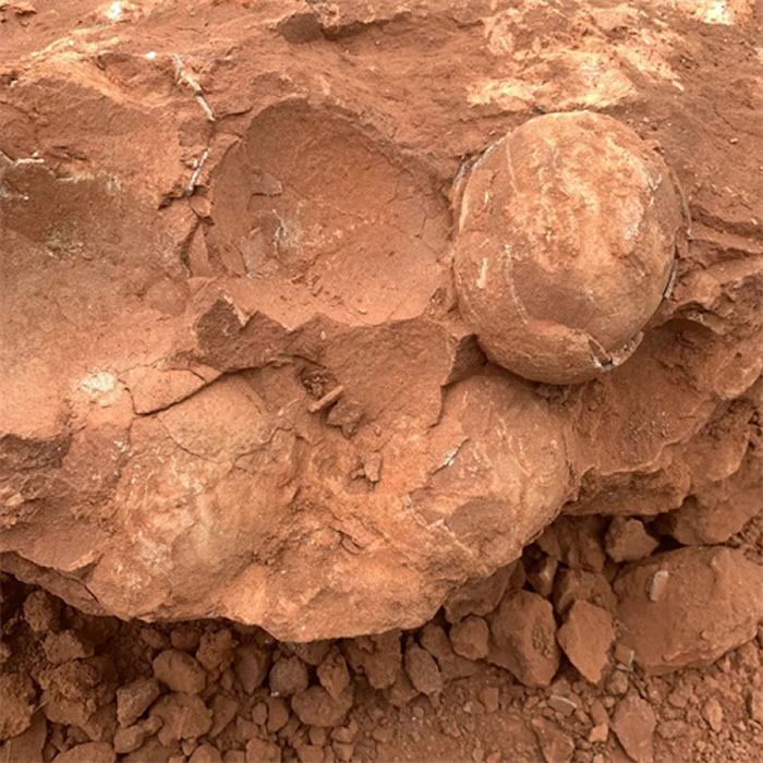 江西省九江市武宁县发现一处恐龙蛋化石点