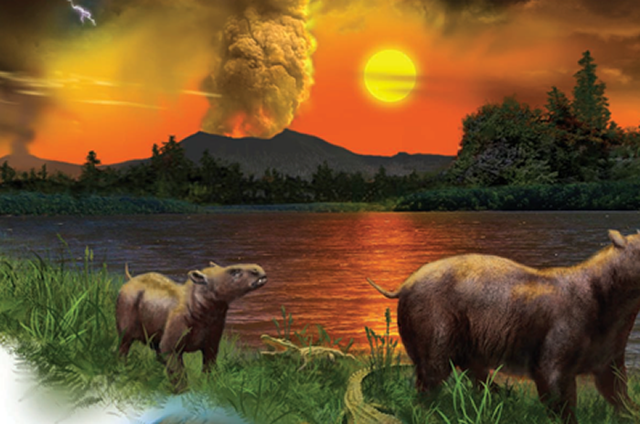 “短視頻就米飯” 沒營養的“電子榨菜”何以為繼