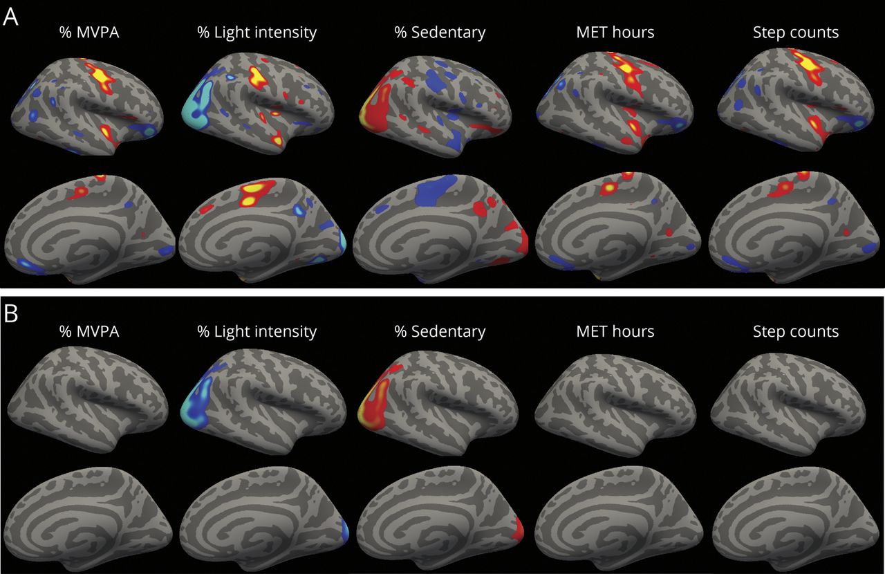 劣克联联袂深圳联通为驱逐5G期间进步支散量量、晋降用户体验