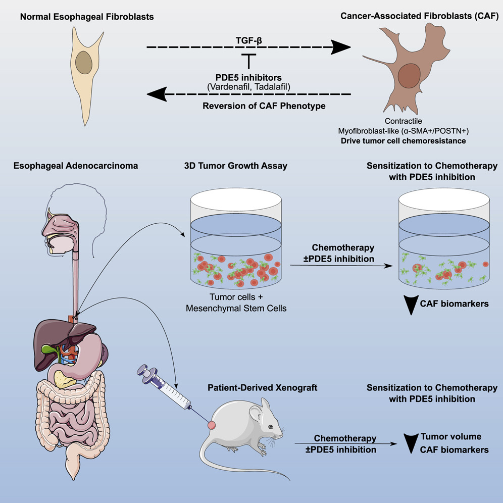 《.hack 乌客链接》游戏战役体系初次公开