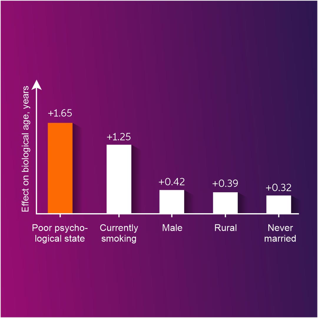 伊藤润两风可骇游戏《人鱼沼》重制版暴光 下水讲美人鱼太惊悚