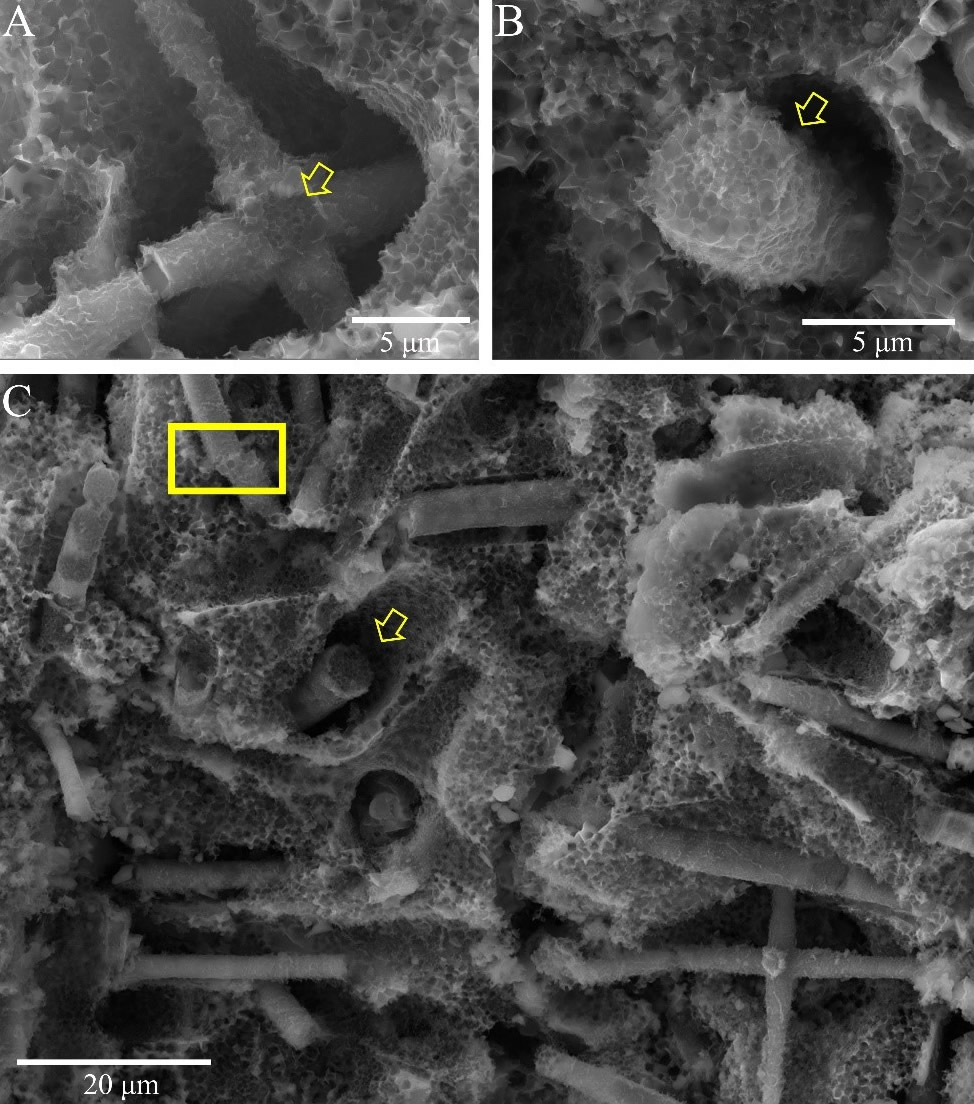 国产校园惊悚游戏《乌羊》再曝粤语预报片 12月16日15面出售