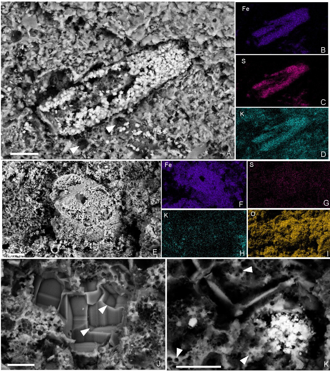 尾款DX11游戏大年夜做《灰尘2》引进中国!