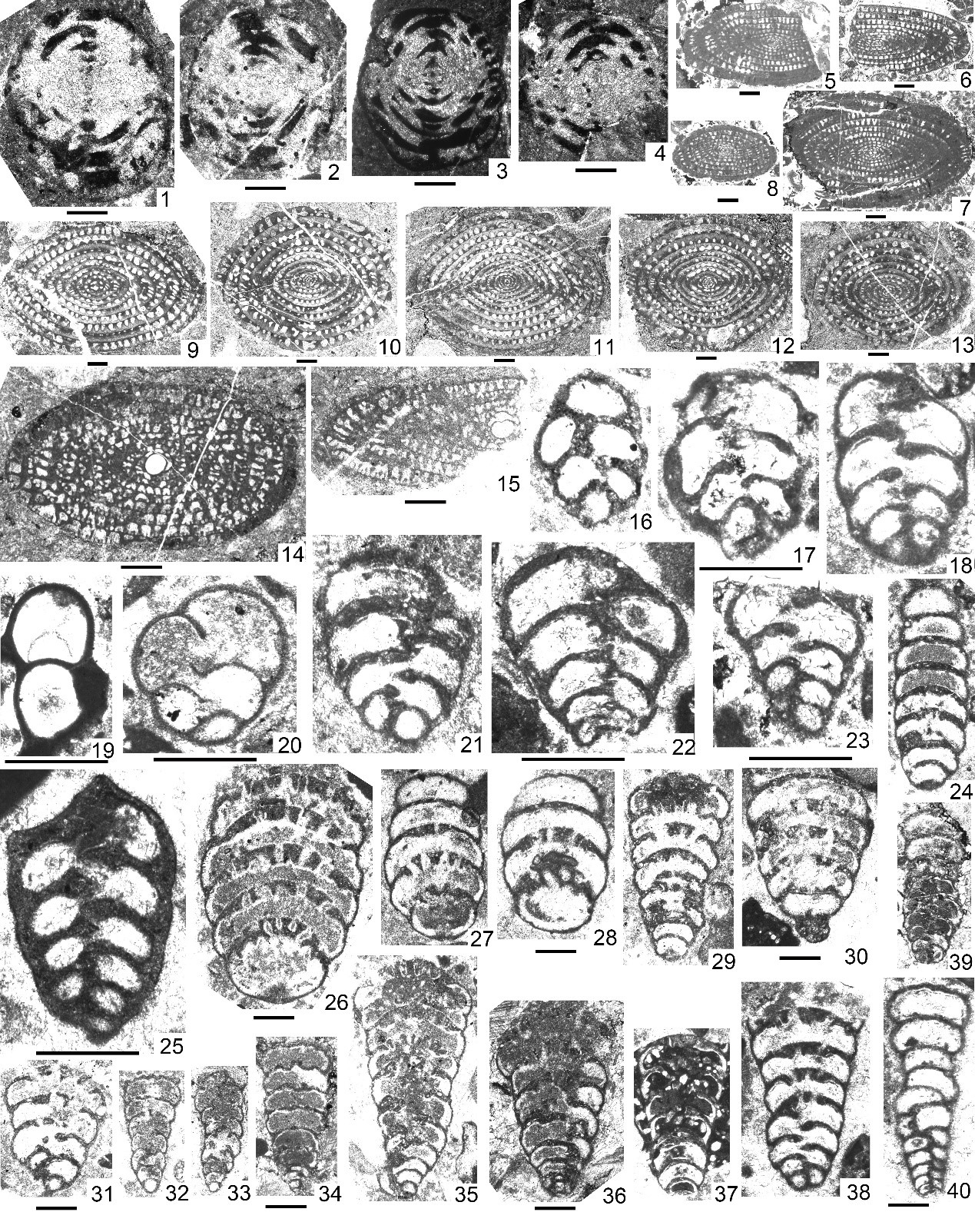 支散帮助北斗卫星/GPS定位水了:日均超10亿次