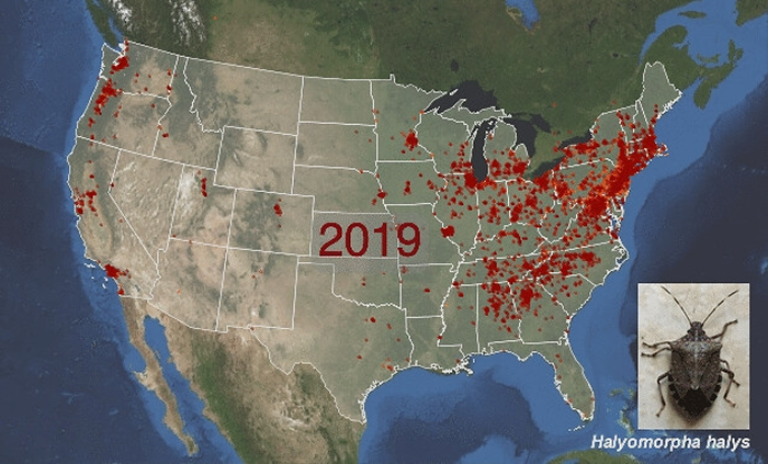 《光環(huán)5:保護(hù)者(Halo5:Guardian)》最新諜報 奧秘音頻將“獵殺本相”