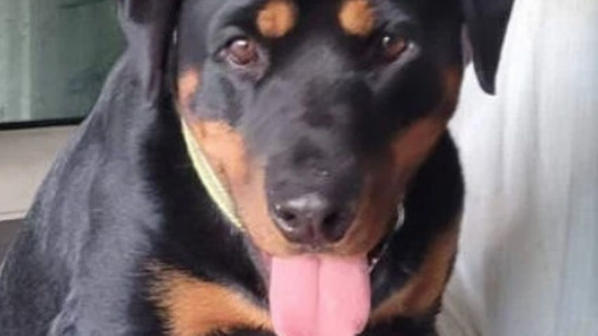 ����71��Ů�������ʹ��󹥻� ������ȮӢ�»�ס����45����