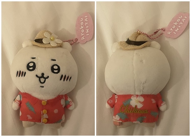 韩国女子到日本旅游 公仔遭黑鸢夺走后成功寻回