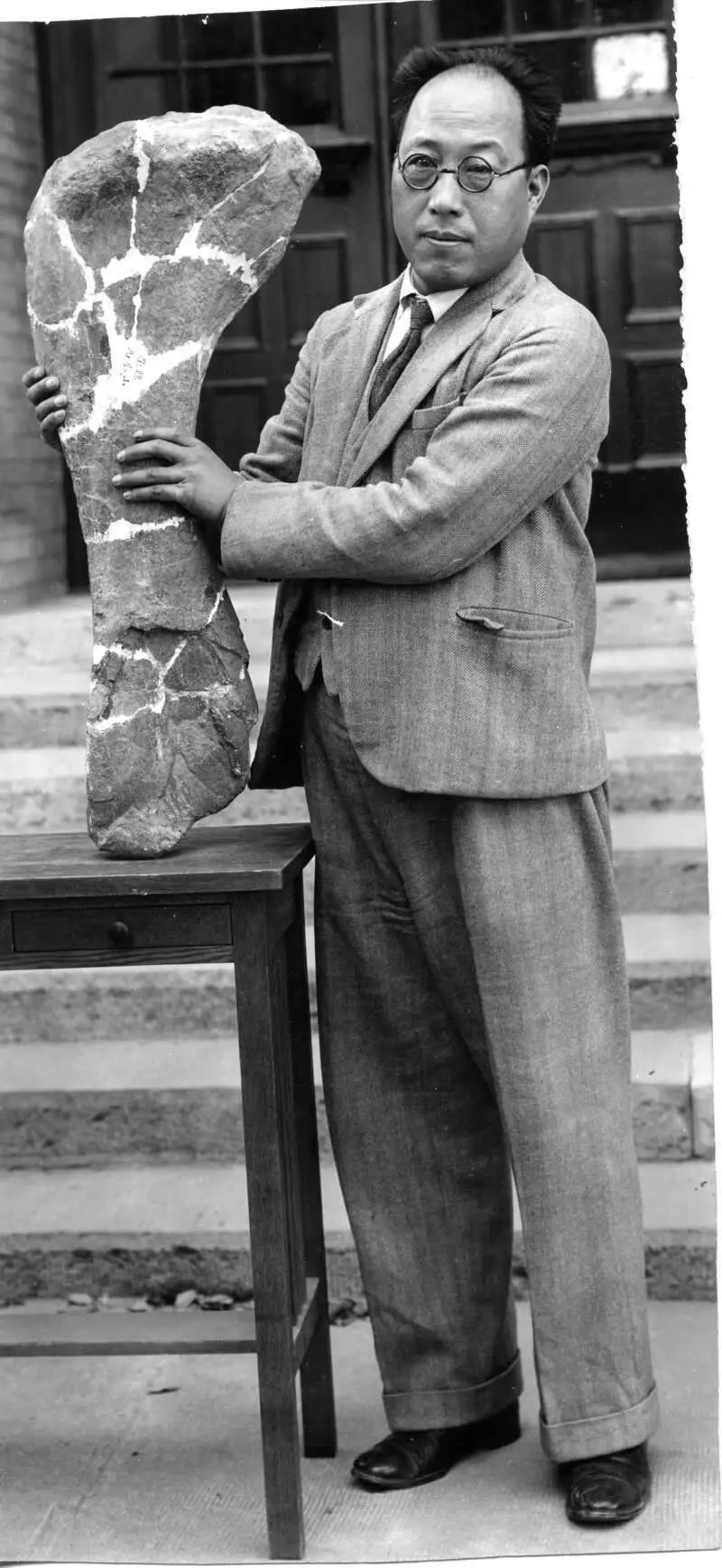 大国科学家:杨钟健的画像与达尔文并列悬挂在英国自然历史博物馆