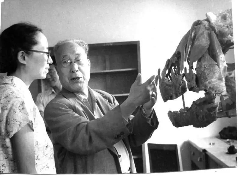 大国科学家:杨钟健的画像与达尔文并列悬挂在英国自然历史博物馆