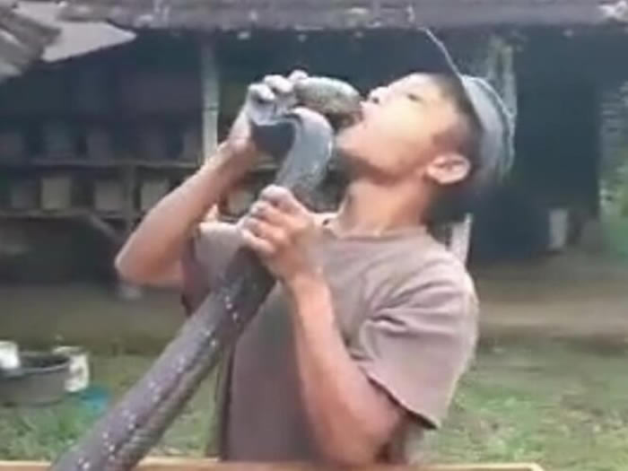 ӡŪ۾ߵﳤ5 ﻻˮʱ⹥ҧ