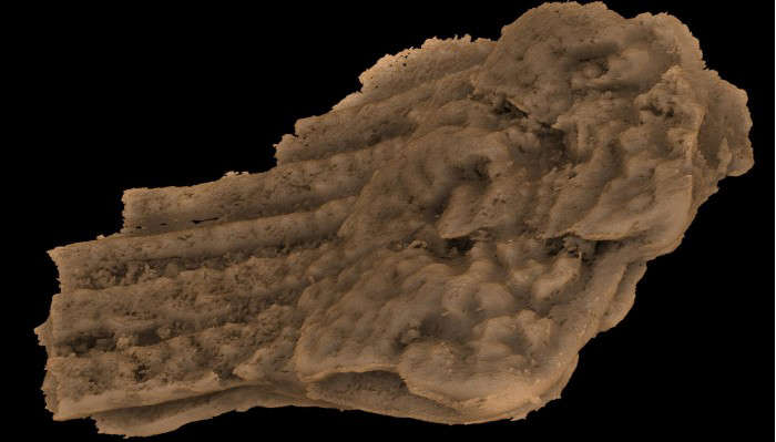 中国发现的令人震惊的4.39亿年前