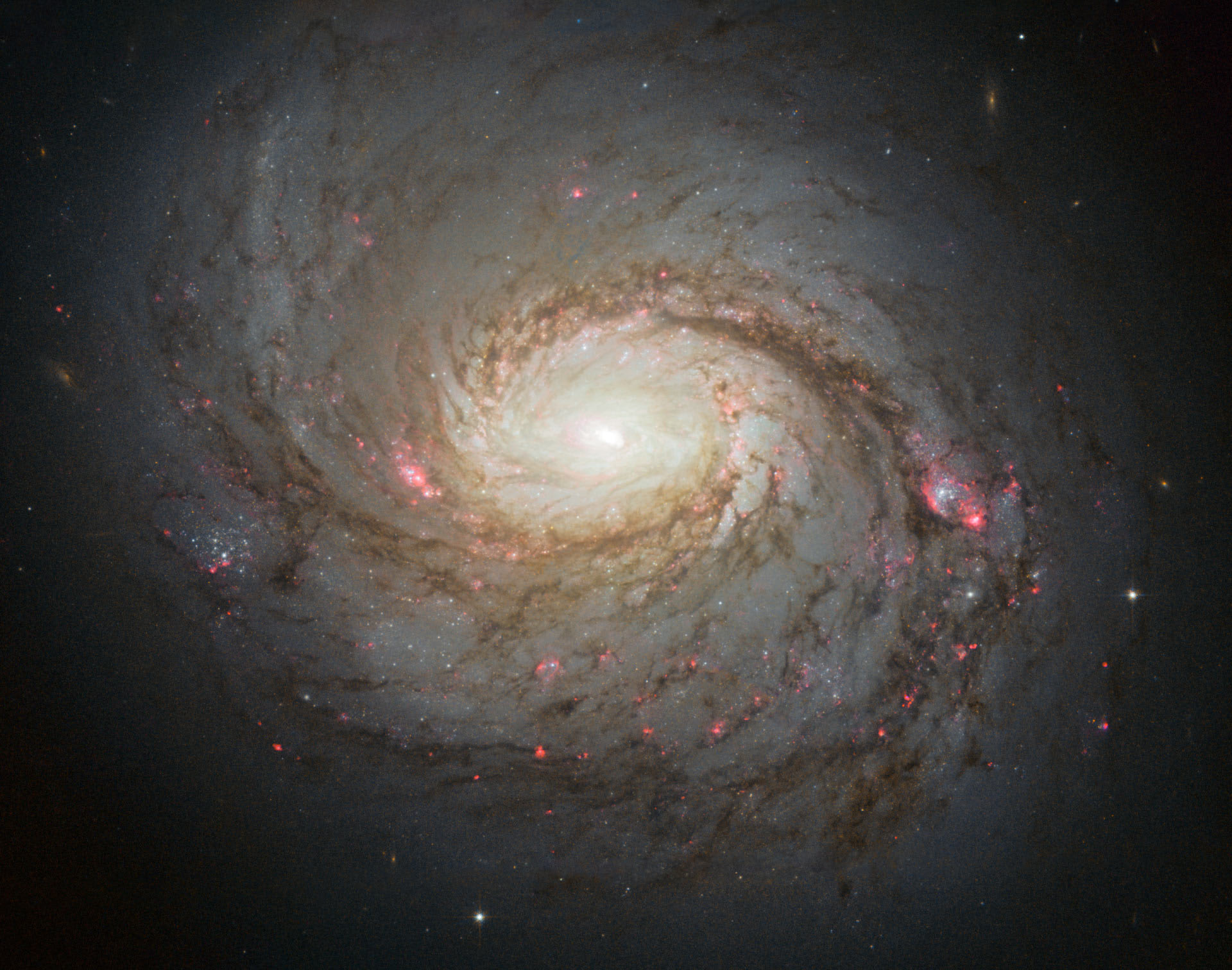 ΢ӹ۲վϵĻԾϵNGC 1068ᷢ΢