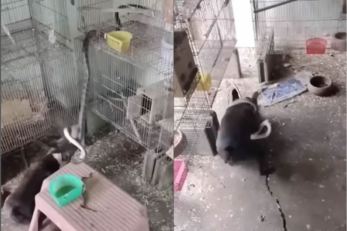 ������������������ ���С�����̳���ȥ���