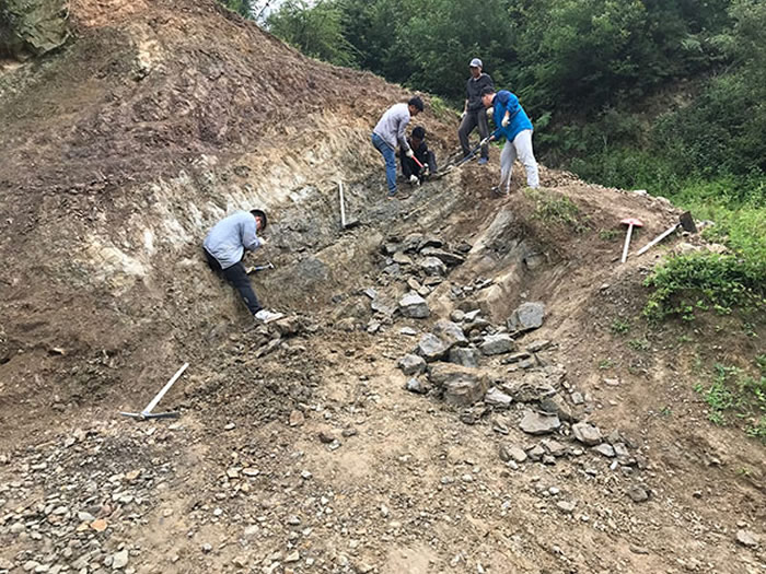 ������ѧ��¼����4.1����ǰ���������������㻯ʯ��ʾ�����ؼ������ݻ�